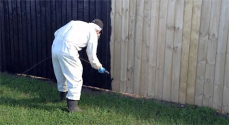 Treating featherboard fence