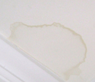 Water stain in ceiling from old or current leak