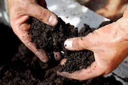 Person Filtering Through Soil