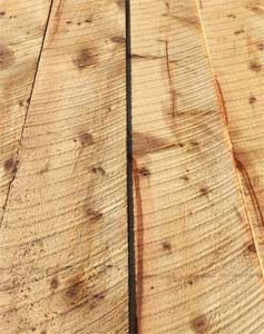 Section of rough cut timber