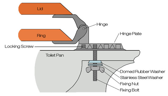 Parts of a toilet seat