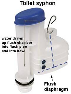 toilet syphon Toilet Syphon