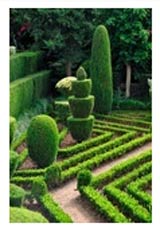 An Example of Topiary