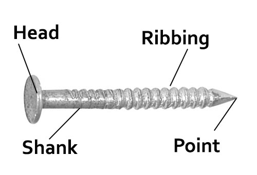 The different parts of a nail