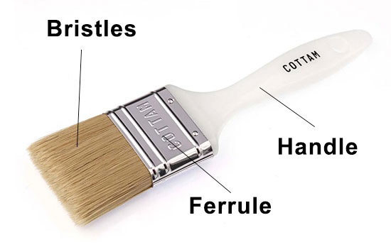 The parts of a paint brush
