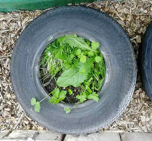 13-inch tyre