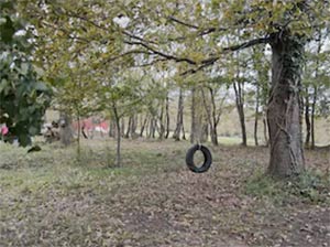 Single mounted tyre swing