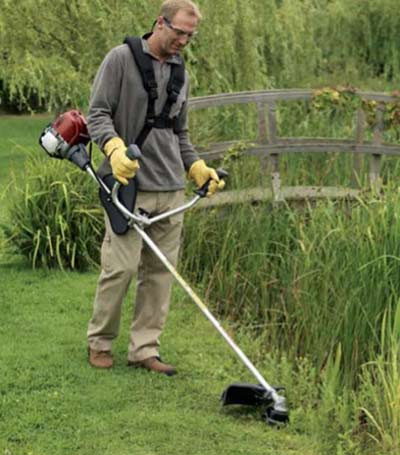 Strimmer with harness