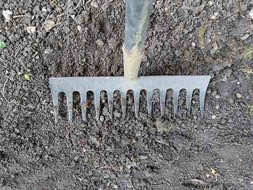 Breaking up chunks of soil using the back of a rake