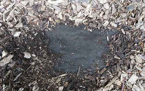 Weed fabric laid under forest bark to prevent weed growth