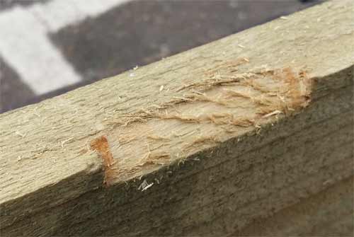 Rough surface after using rough grade rasp