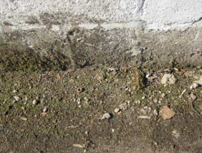 Damp lower section of wall