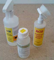 Use an Anti-Mould cleaner and salt neutraliser to treat your walls surface