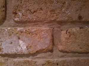 Remove a brick from your cavity wall to check for debris