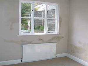 How To Treat Wet Walls In Your House Remedies For Damp And