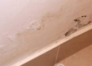 Rising Damp can cause wet patches on your lower wall area