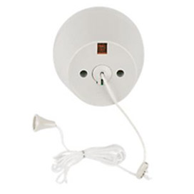 Ceiling or pull cord switch