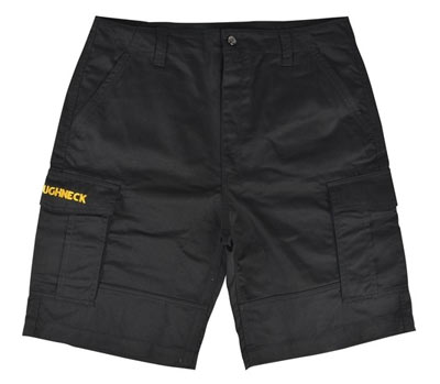 Dickies Arkley hoodie